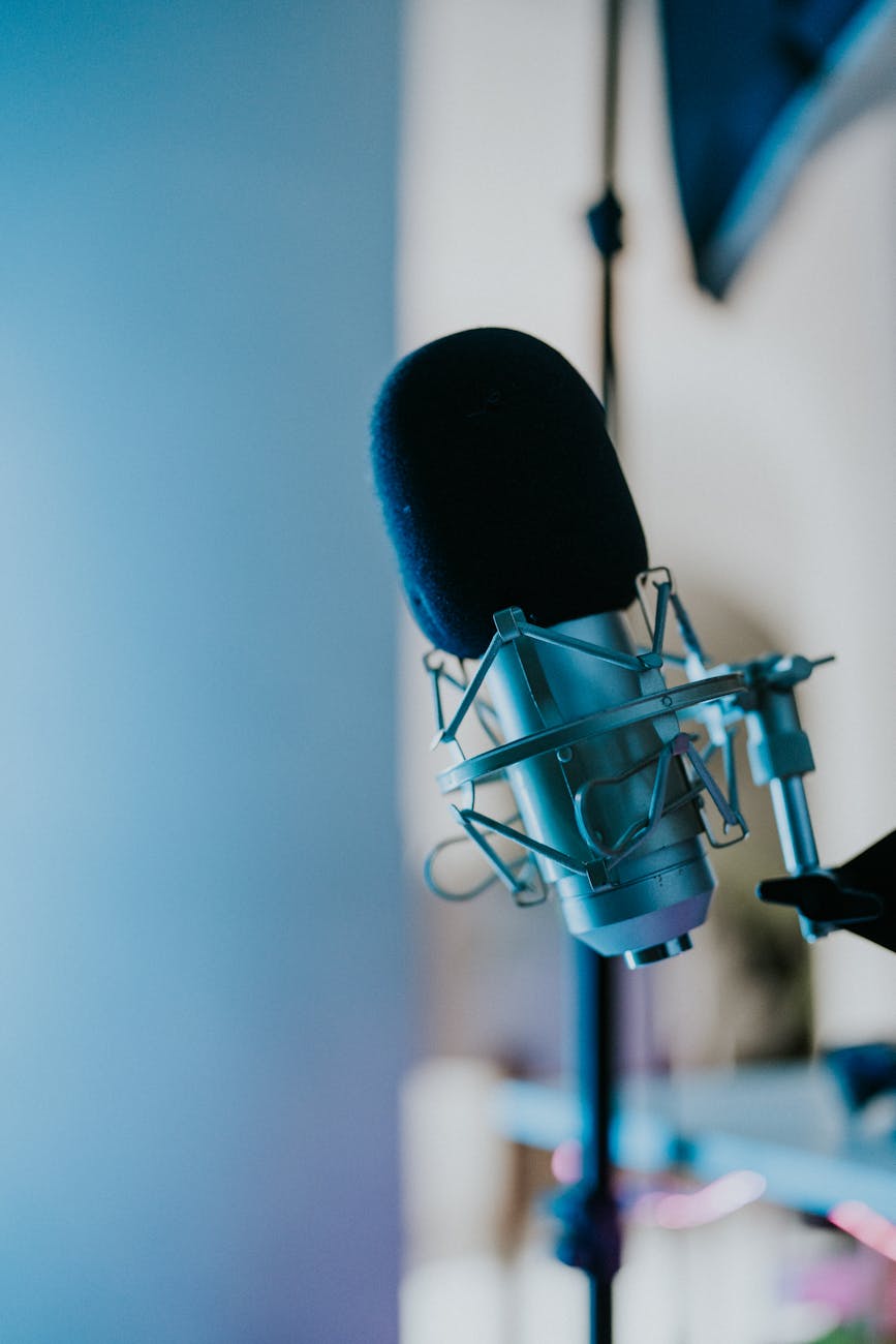 close up photo of a microphone